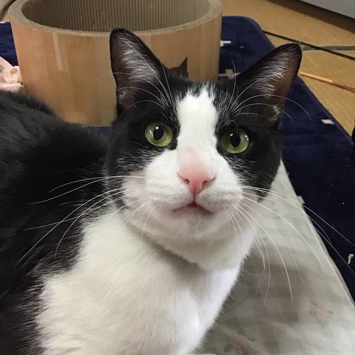 Bd6cd6c4 dd93 43e8 b426 cab2a2603d11 1710834099896