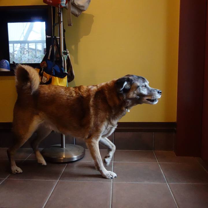 Bd6d43f6 62a7 4dfa 97c2 176ac45deb7f 1546737869478