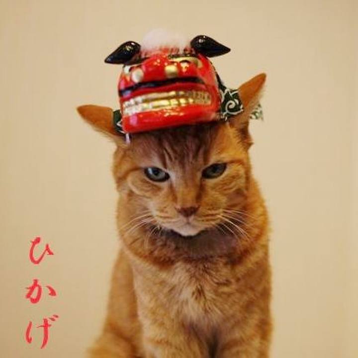 Bd6d4cce 061f 43c1 8102 23ba497470da 1641001170964