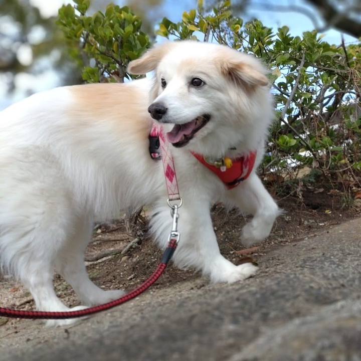 Bd6d8131 663d 472f 8798 843fd2ebbf70 1648767377961