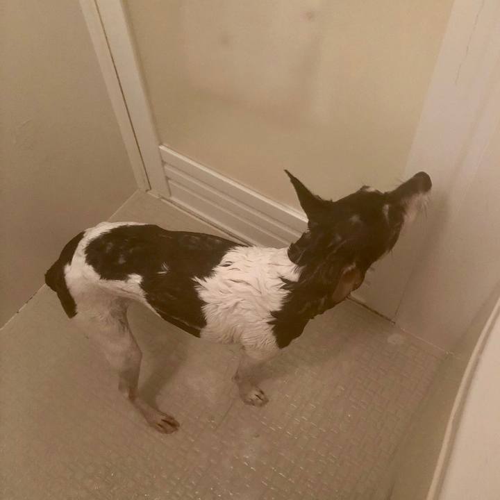 Bd6da23c 9ca4 4d9a b45f 0094d43ac105 1556062561156