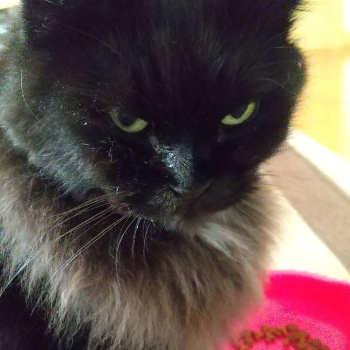 Bd6dc715 4c71 4f43 ad7e 459b3f2eecd0 1630148120292