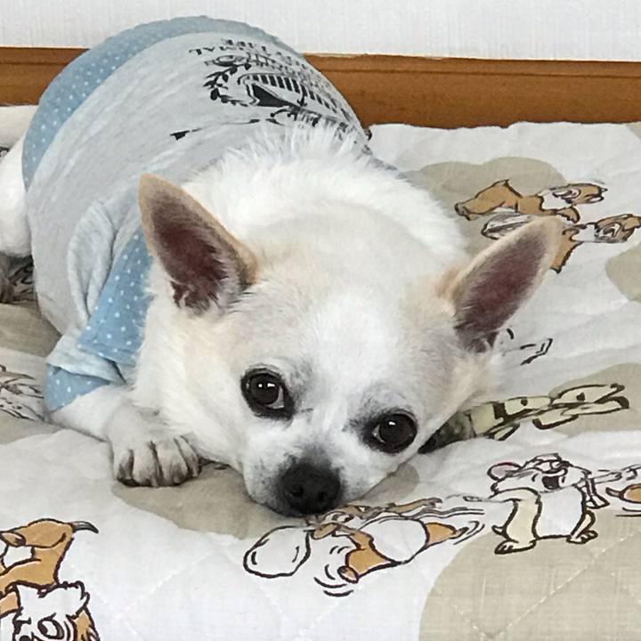 Bd6dfd9f 4158 4d23 ba27 4ca51ae1e165 1563888990747