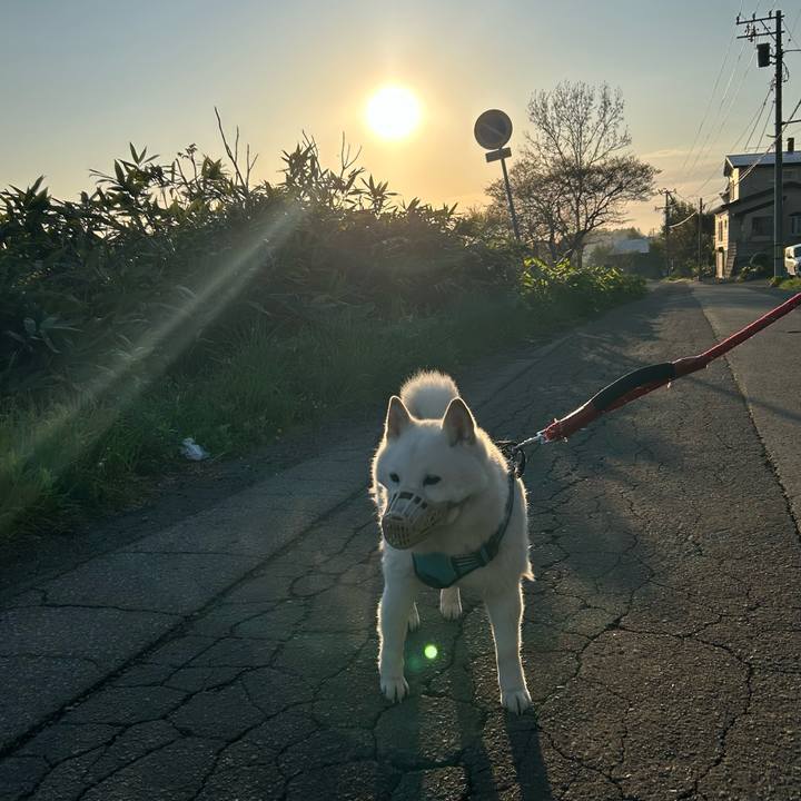 Bd6e1b08 0533 4917 9512 f71a8210db10 1683665768398