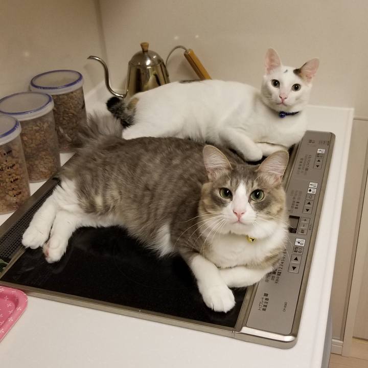 Bd6ee6ce f5a7 42c7 a449 2999c5e19bf4 1526479727009