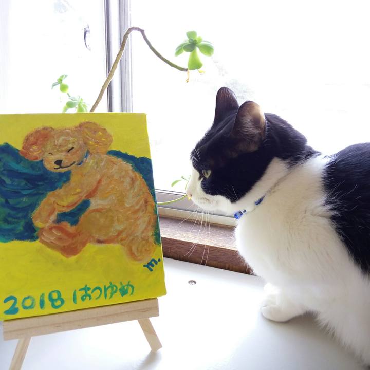 Bd6ef7f0 7636 45b5 8eac dc24c422ed22 1514780408566