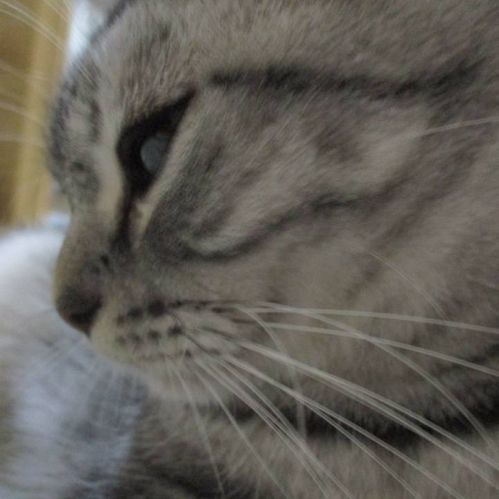 Bd6f0065 dd46 4500 abb4 5e969bf06709 1563028366521