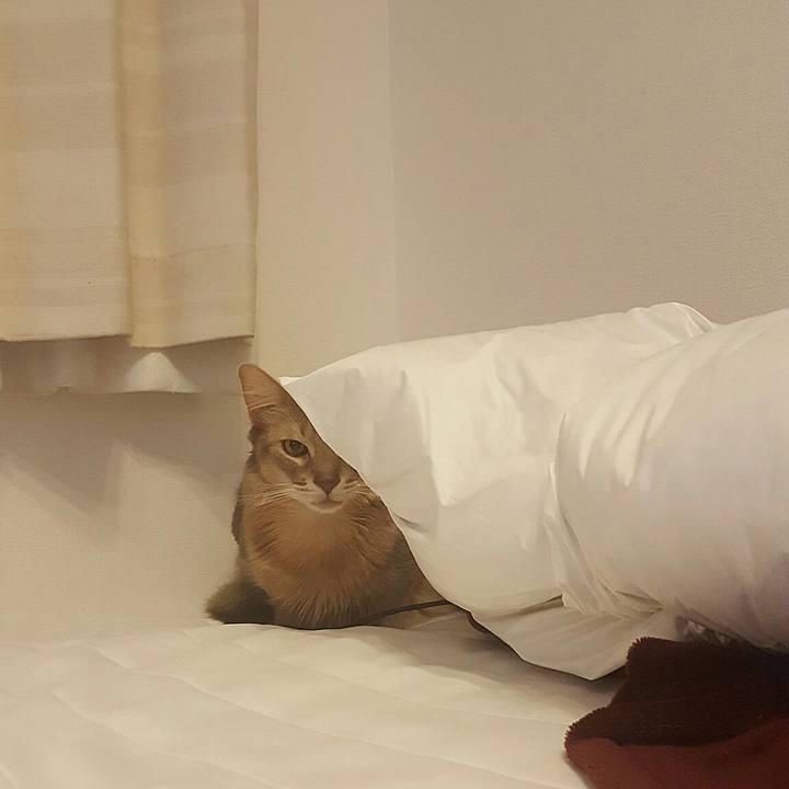 Bd6f319d 0a56 4ca4 a36a d200552fefcb 1556444284759