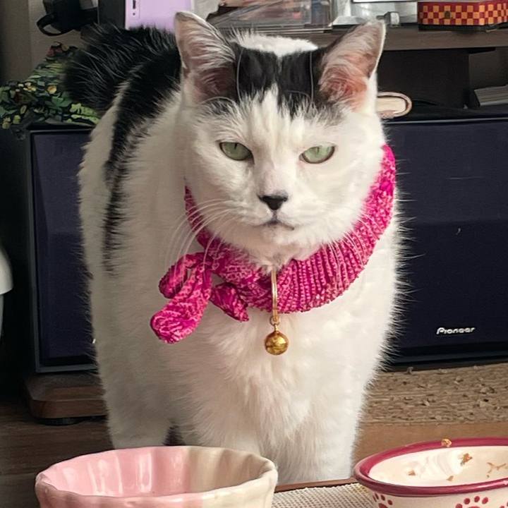 Bd6f3e82 5f32 4ca7 82e8 b72431f5f660 1768630644574