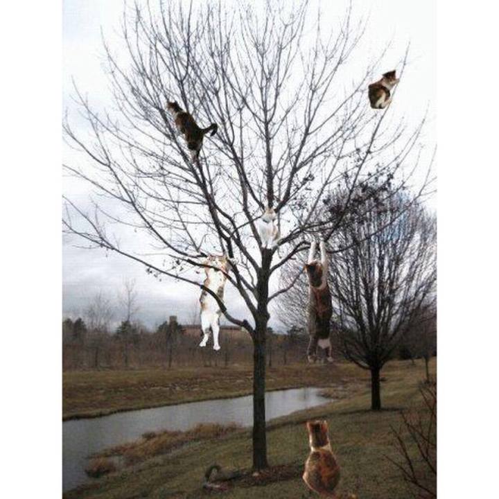 Bd6f7645 b8b0 483c b99a bf16490520ee 1522621394693