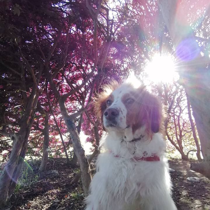 Bd6fb43a ef20 40f5 9bce 9ace0fd46dfd 1586259642839