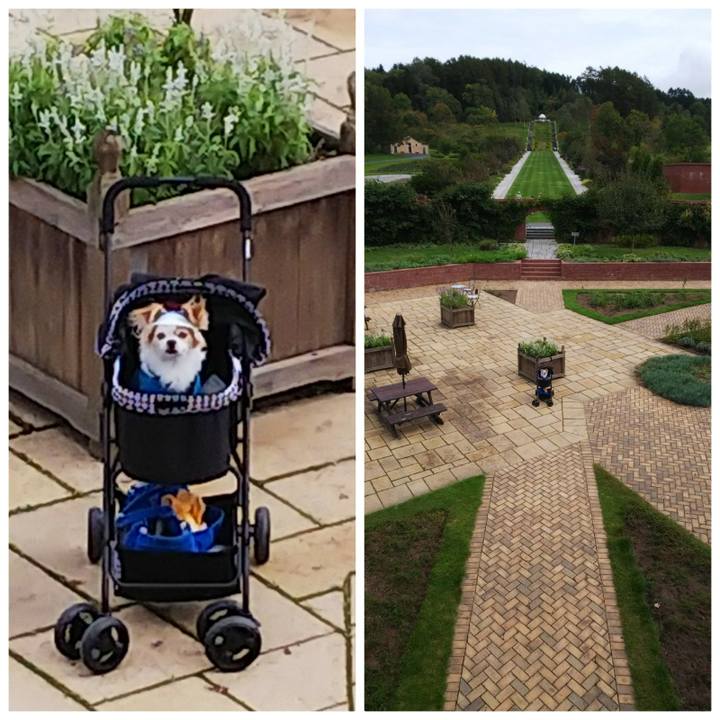 Bd6fddbd 9967 4072 9f29 0340508798d4 1537077681149