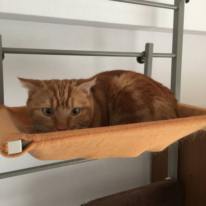 Bd700874 1ec5 422f ad60 a1f8e56a8015 1562289115605