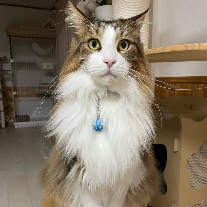 Bd704398 d16e 4f01 b156 e855a5df5f0d 1707851997694