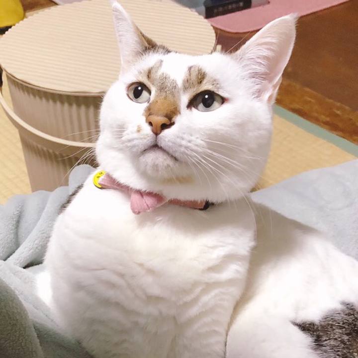 Bd705c4a 0603 4c4e 8536 b271158da30e 1674217254293