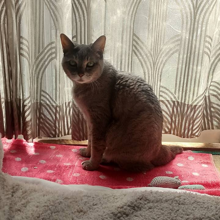 Bd705f4c 53fe 4532 81b3 cb89ecb8036c 1682556607284