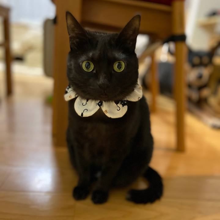 Bd7067f7 67e5 444a 884a e14f03ba755c 1640606423541