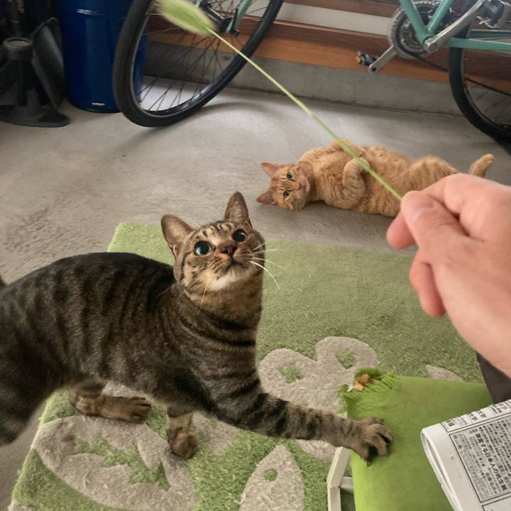 Bd707fbc 72aa 41dd 8f05 341e87ae1147 1718408917333