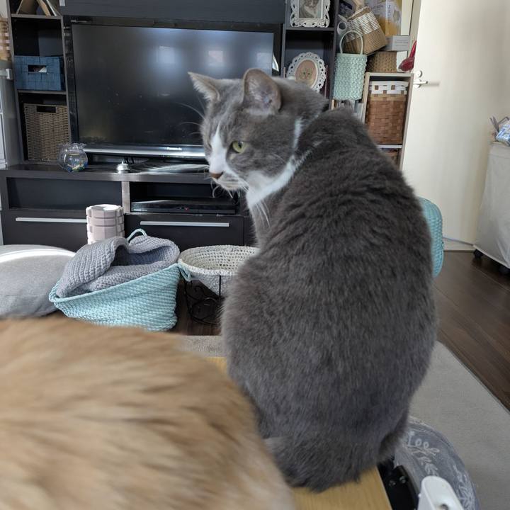 Bd7088c4 0386 4e76 b456 ace16fe68b44 1769392005002