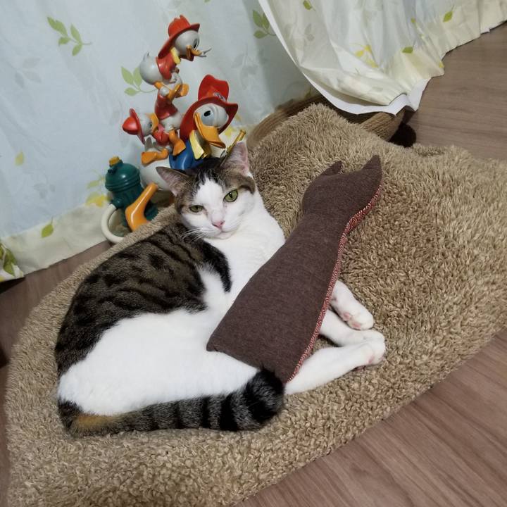 Bd70a905 2b7d 4dc2 9d04 89228ffb7960 1607636535304