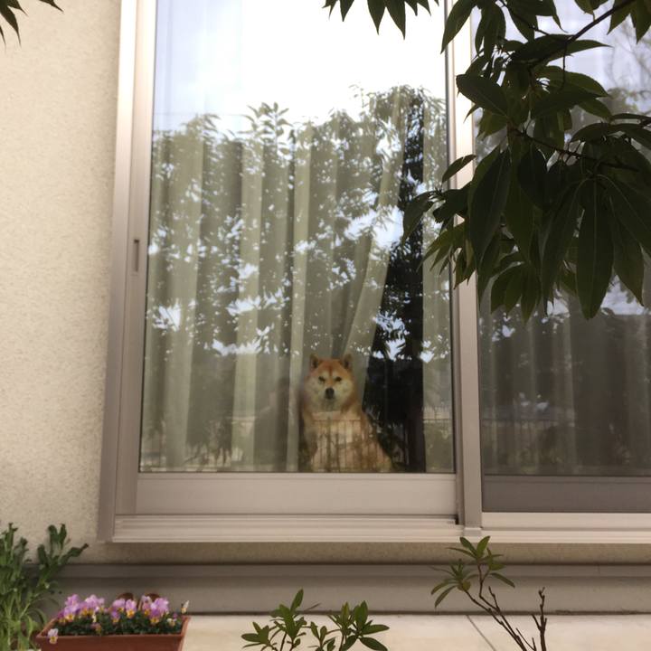 Bd70f005 d4e0 465d 9d54 594ebc3b51e2 1519563852886