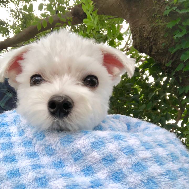 Bd70f632 6a57 4ab3 ace0 5f30d1a50127 1568419401058