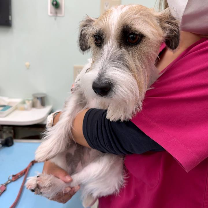 Bd7112a1 27d2 453a 9243 72ee5f2d7b13 1698660137984