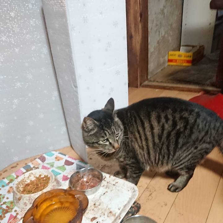 Bd711426 bb6d 4cba 8f15 4db027a69946 1649802479676