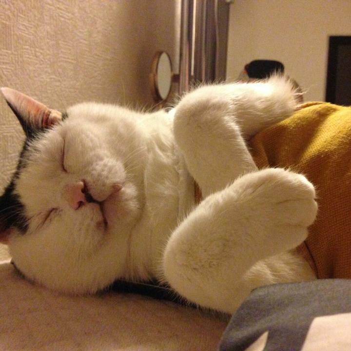 Bd711ae8 0cd2 4cf7 8cc2 d5f189b80e8b 1534602335802