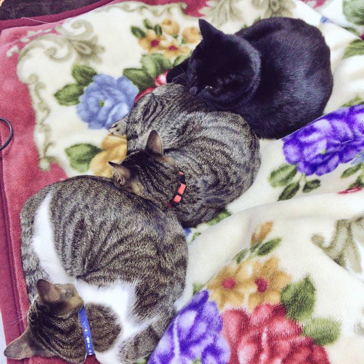 Bd713276 d8fc 4d0a b502 77f90ce63f3c 1511523907183