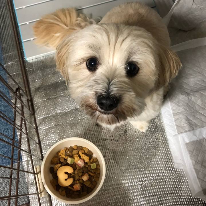 Bd713fb2 e160 4f48 a531 fbe2b8609273 1537975104216