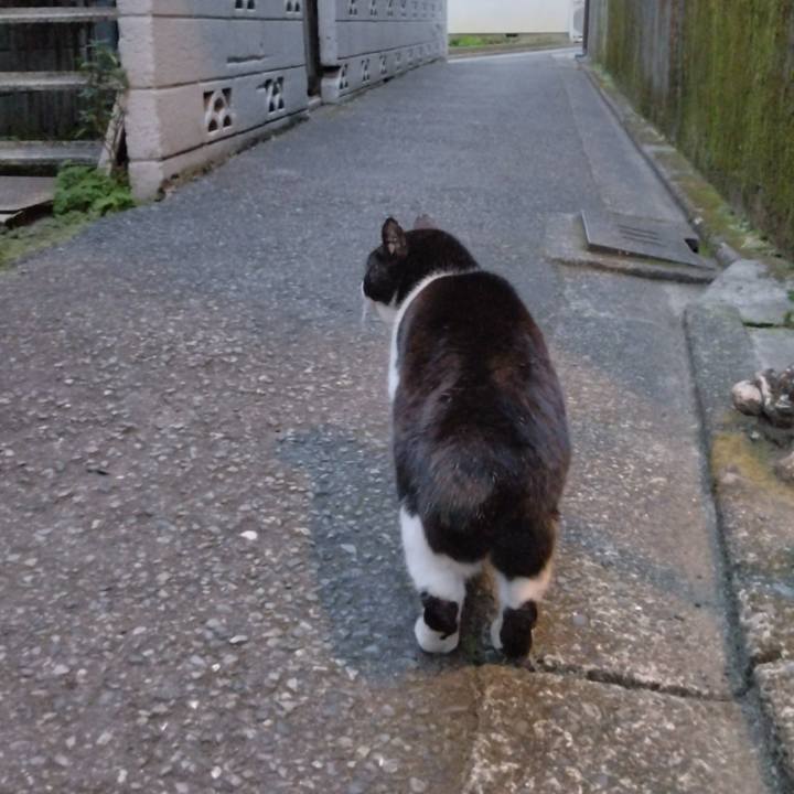 Bd717a9d 8895 41df 8b56 1ac7d293ba42 1707469883083