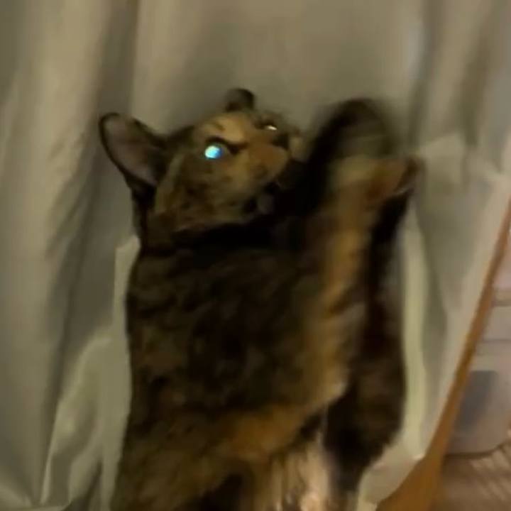 Bd71898d ab28 4771 afa6 9686591a70de 1738012077941