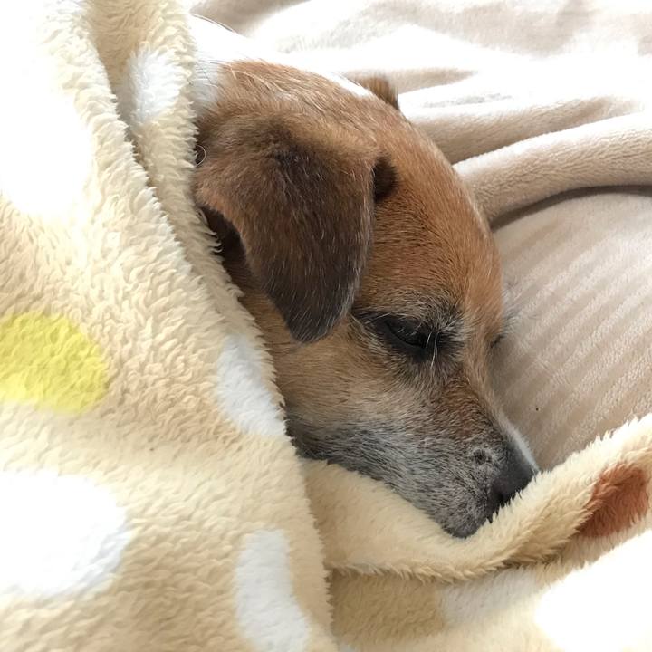 Bd719e8f 5322 49c0 8313 ceb07315b62e 1551936109812