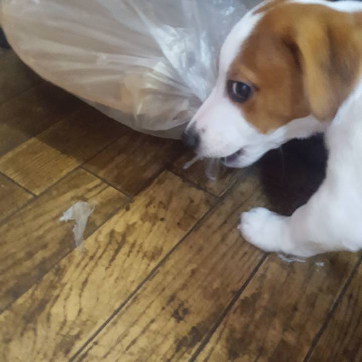 Bd719f85 bbb2 4a71 b3a3 d61cdd9e5f98 1550816645298