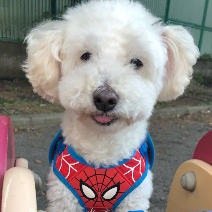 Bd71dc6e 77dd 4197 9978 48d9d40269d6 1538481085846