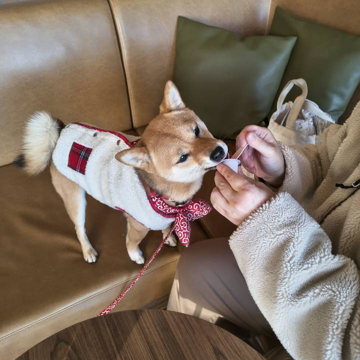 Bd71e36d f55b 4d8c ba70 2965fbd7009a 1772923301730