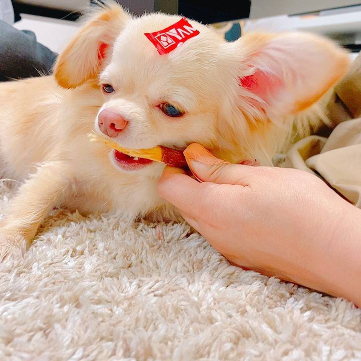 Bd71ffb7 81af 4495 a0fa eda58155cd4c 1624795263003