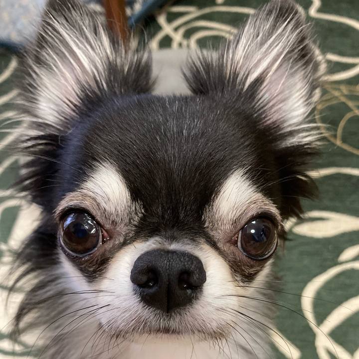 Bd7228bd b5e7 4daf 8748 4e1020113417 1634339519538