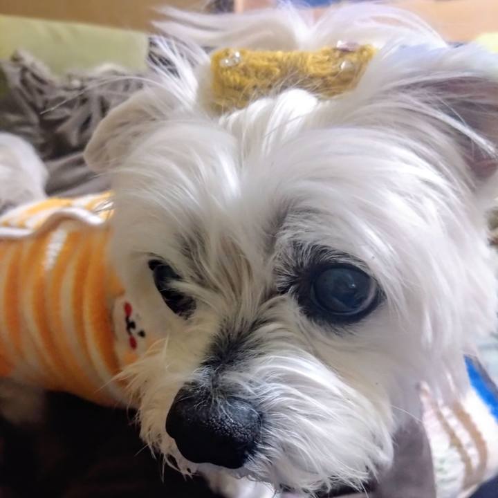 Bd729ab8 2be2 47fb 91c0 771a652b765b 1771069767295