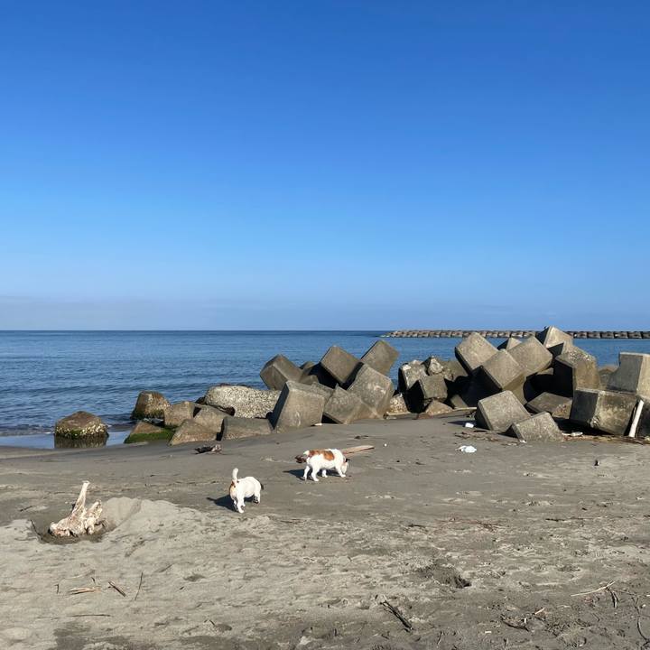 Bd729e3d c36a 435d 88c6 f7c32cad1dc4 1714606587739