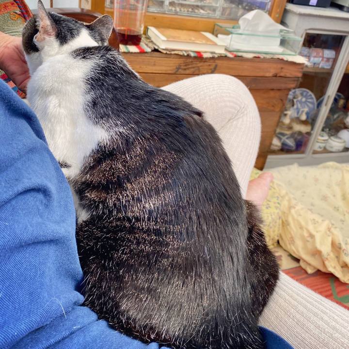 Bd72bcae 27c8 442d ba3d 3f203f1feae0 1603515916715