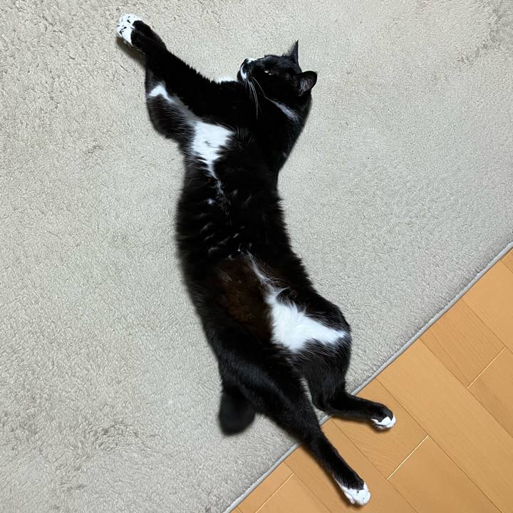 Bd72d7da ab8c 422c a430 cfb90fc1b1c5 1751515538669