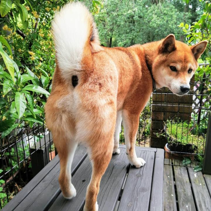 Bd72eca5 5962 4d7f 9a10 dafd24f0e654 1588041668915