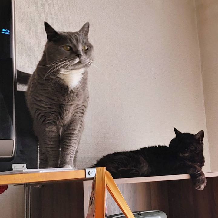 Bd733af4 7266 4793 9f0f e244fc99c0c9 1646453272253