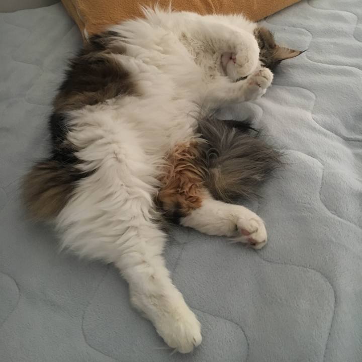 Bd733bf8 236e 4325 95d0 69a8273f5329 1519717423536