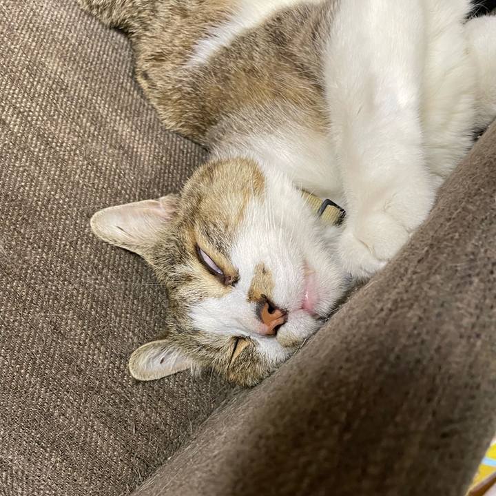 Bd736935 419e 4014 8cb6 99b72b1b5694 1747805008182