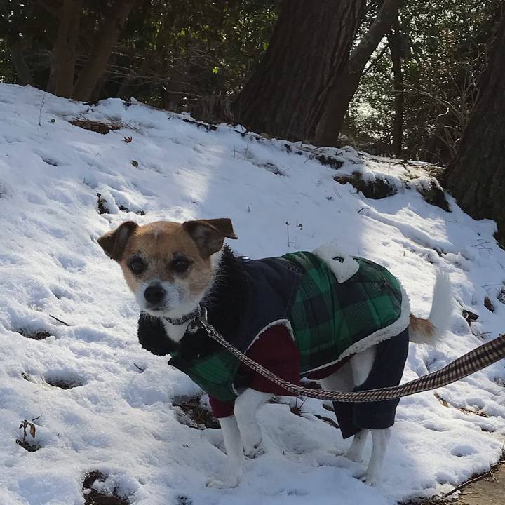 Bd7374ff d516 4668 9970 c036217693b6 1549787226645