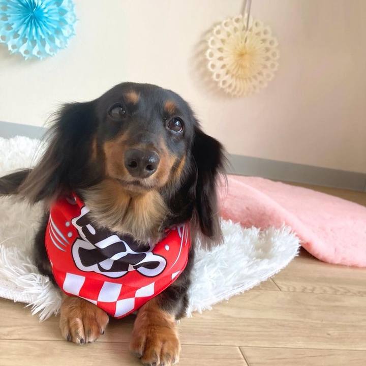 Bd739949 46d3 455a 9625 b74f2188434d 1691913739948