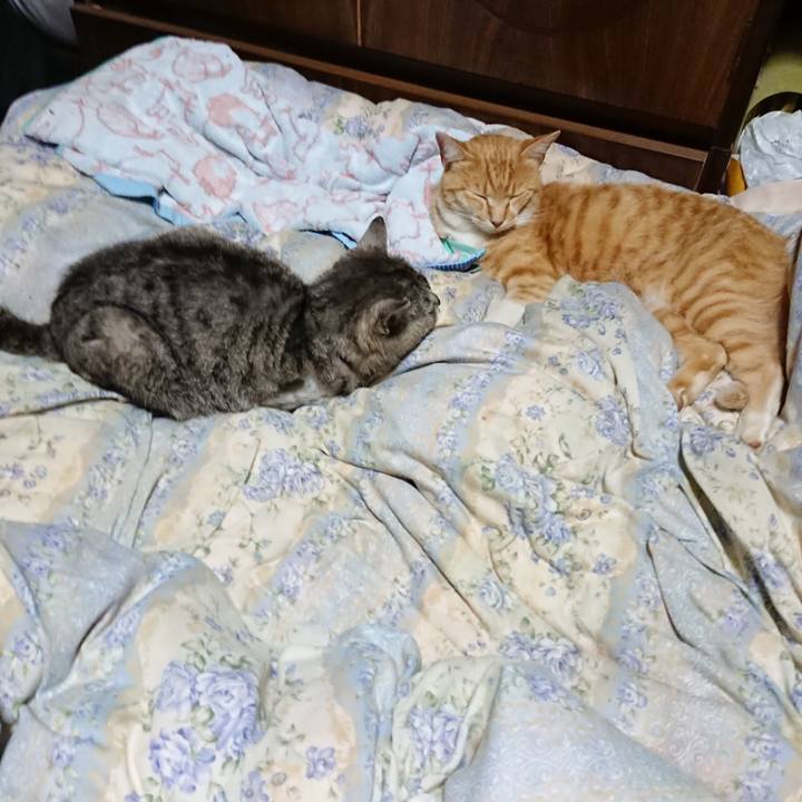 Bd73a3dc d3b0 46ed b67b 2b172a9a953d 1590409060080